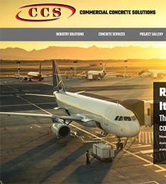 CCSG website Thumb