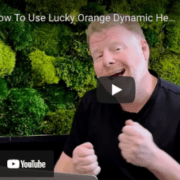 Lucky Orange Thumbnail